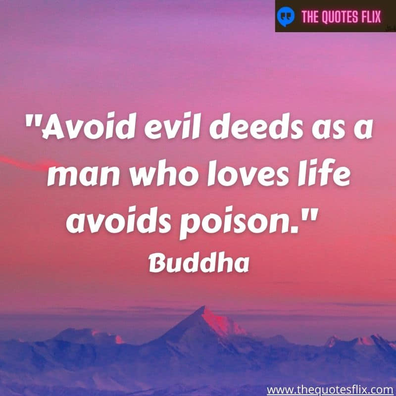 buddha quotes for love - avoid evil deeds man loves life poison