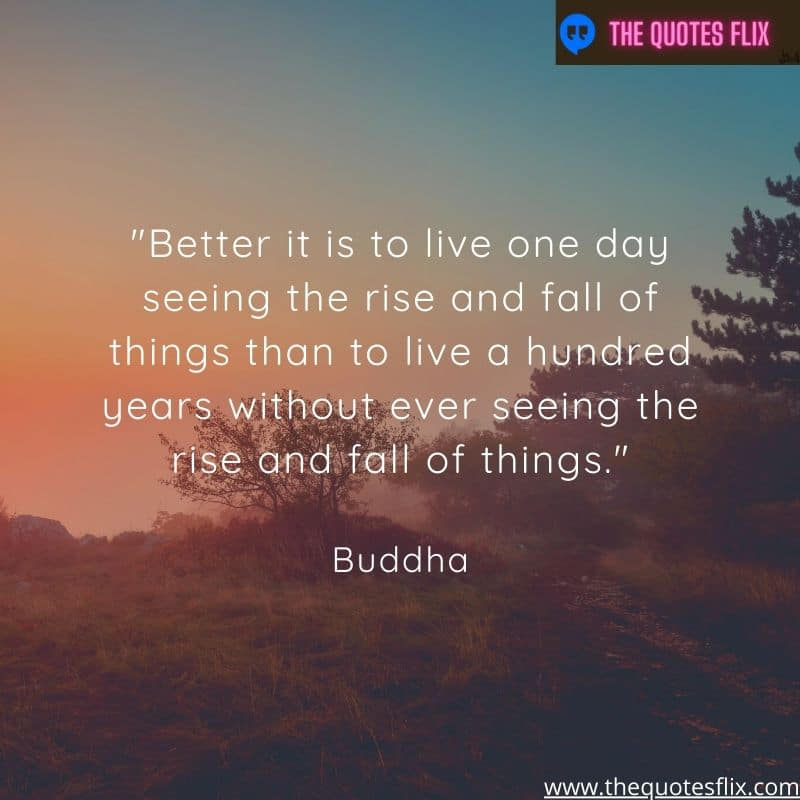 buddha quotes for love - better live seeing rise year fall things