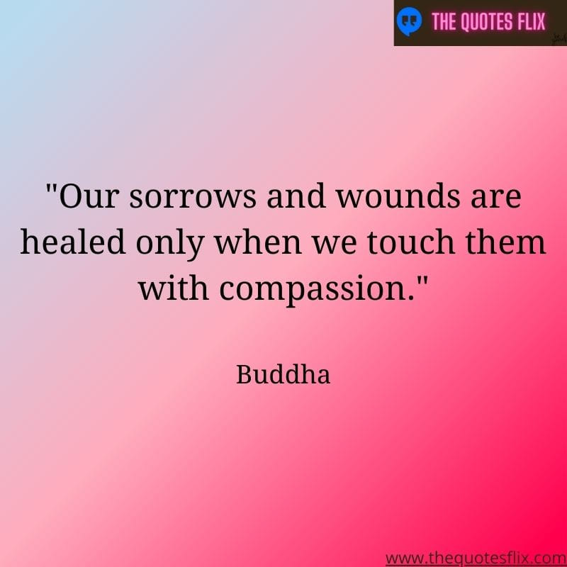 buddha quotes love - our sorrows wounds healed compassion