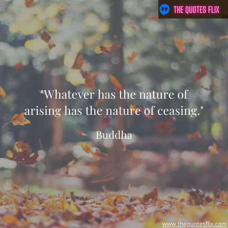 buddha quotes on love – nature arising nature of ceasing