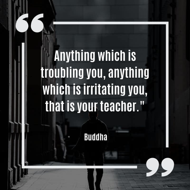 buddha quotes on self love – anything troubling irritating your teacher