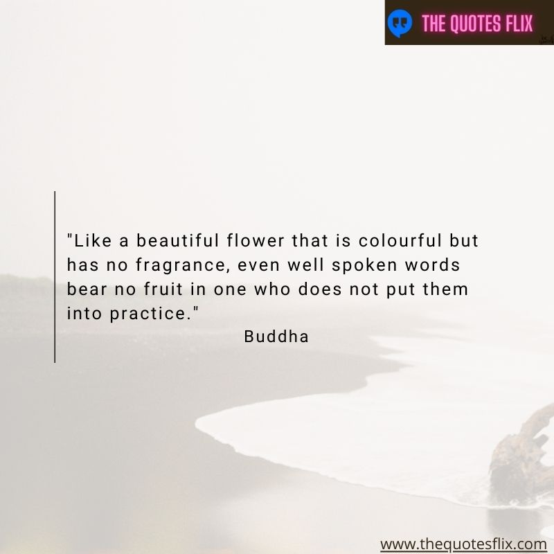 buddha quotes on self love – beautiful flower colourful words practice