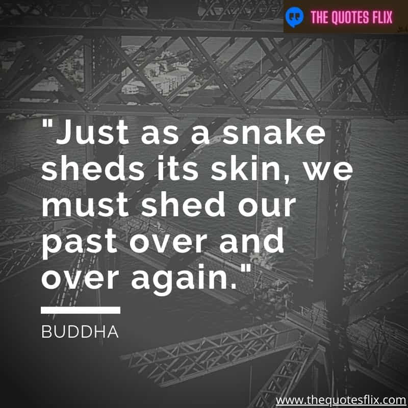 buddha quotes on self love – snake sheds skin past over again