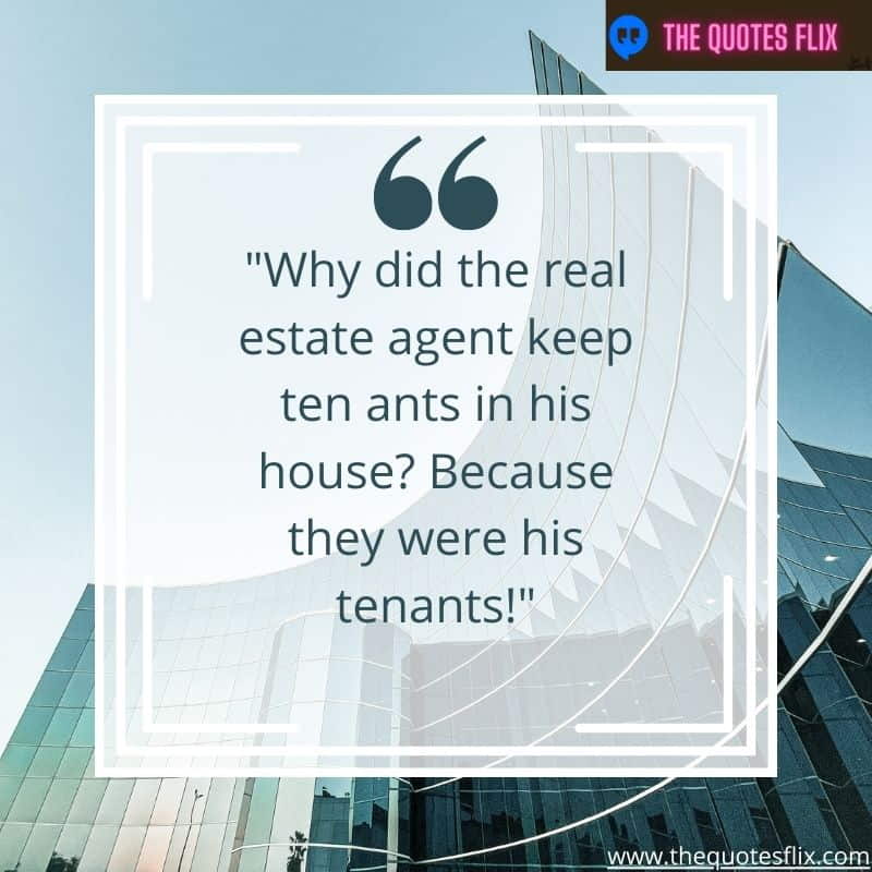 funny real estate quotes – why did real estate agent keep ten ants in house