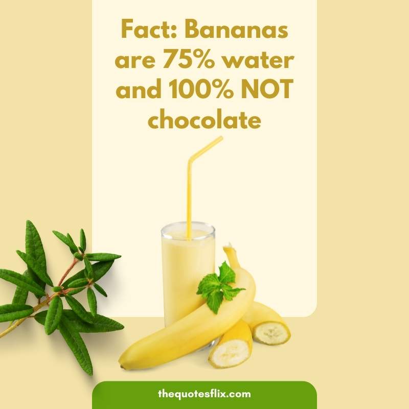 funny weight loss quotes - bananas fact