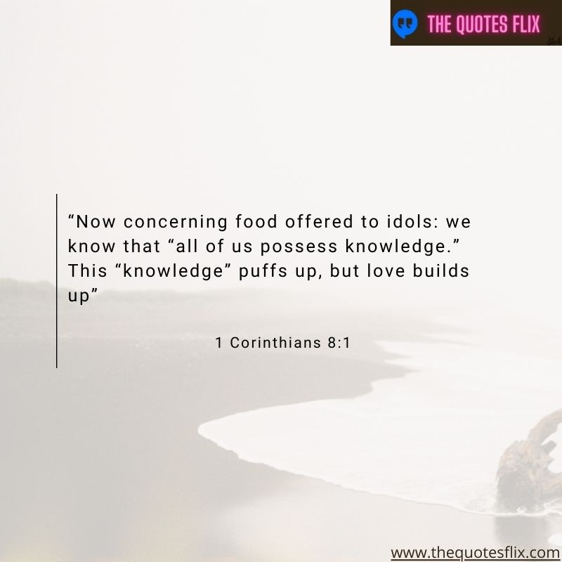 god's love for you quote – concering food offered to idols all possess knowledge