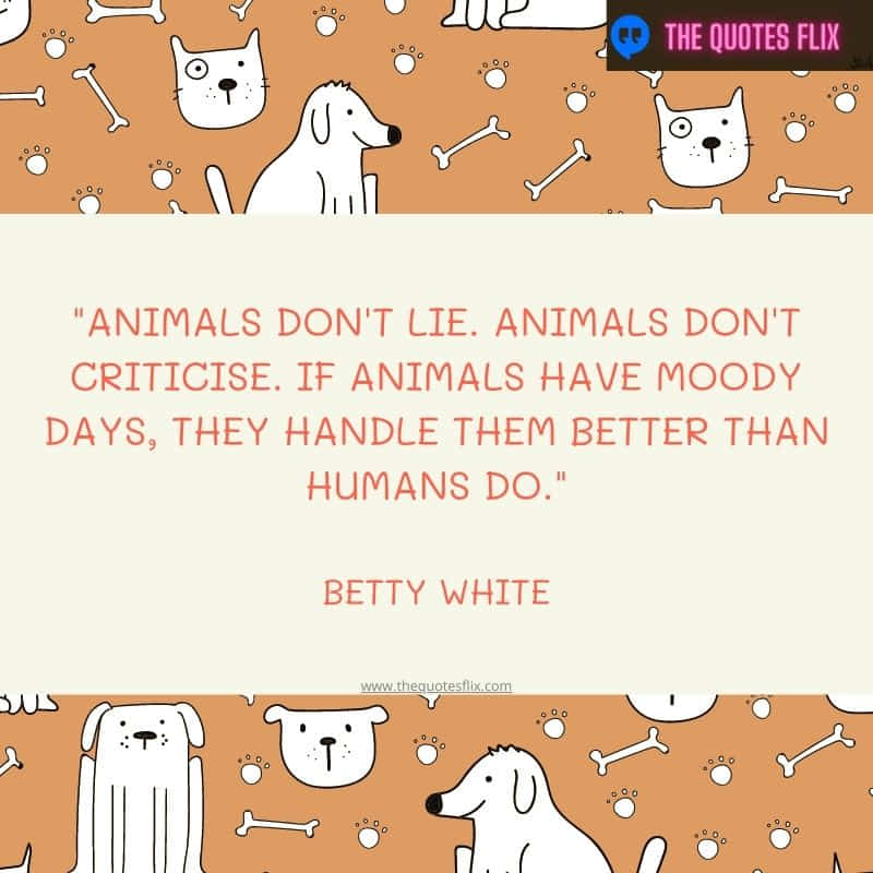 quotes from betty white – animals lie criticise days better humans