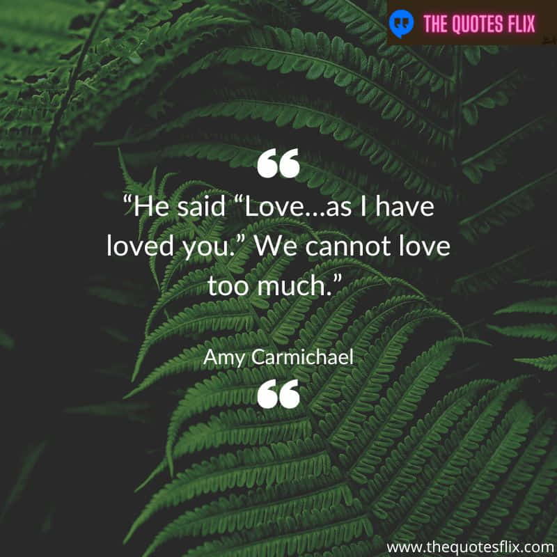 christian love you quotes – he said love as i have loved you. we cannot love too much