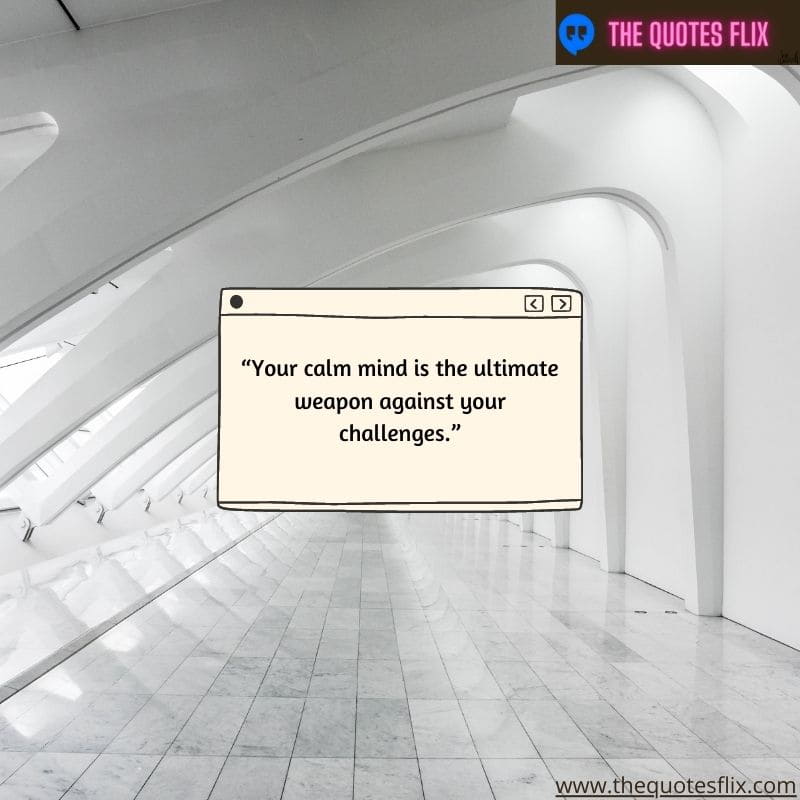 funny quotes on anxiety – your calm mind is the ultimate weapon against your challenges