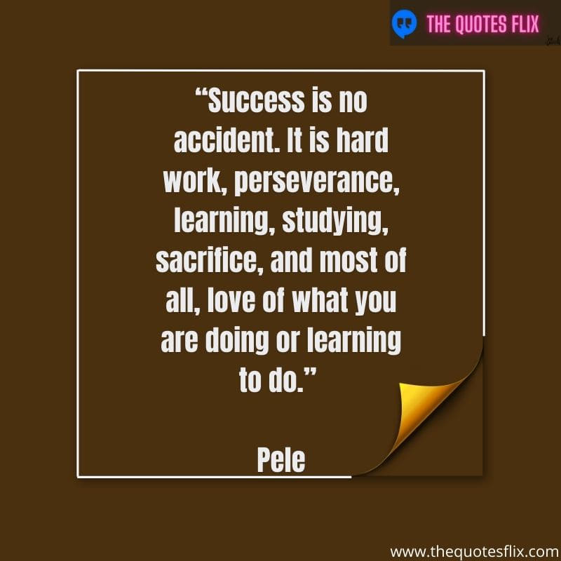 motivational quotes for students success – success is no accident. it is hard work, perseverance, learning
