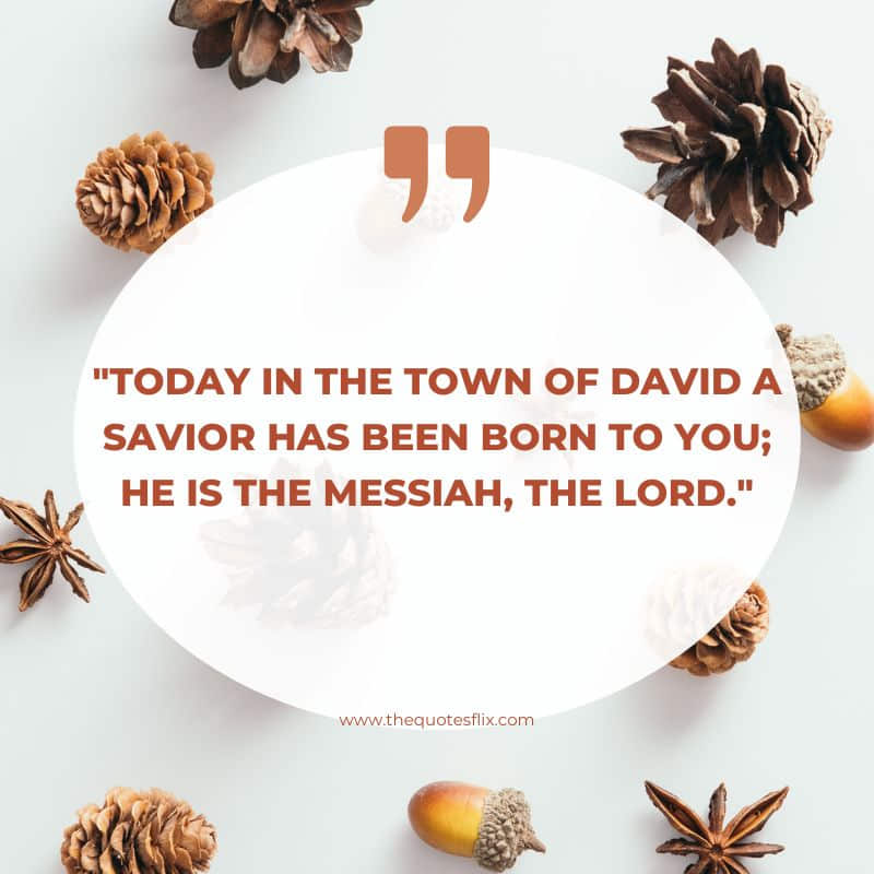 Christmas celebration quotes – today savior born messiah