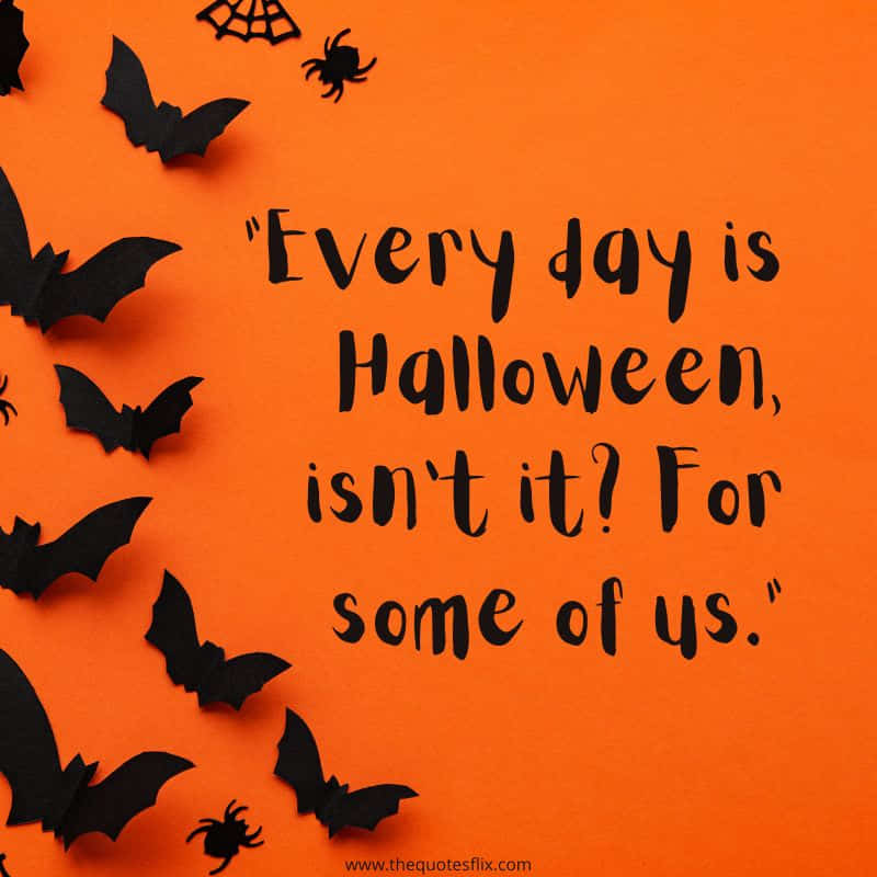 halloween funny quotes – every day is halloween