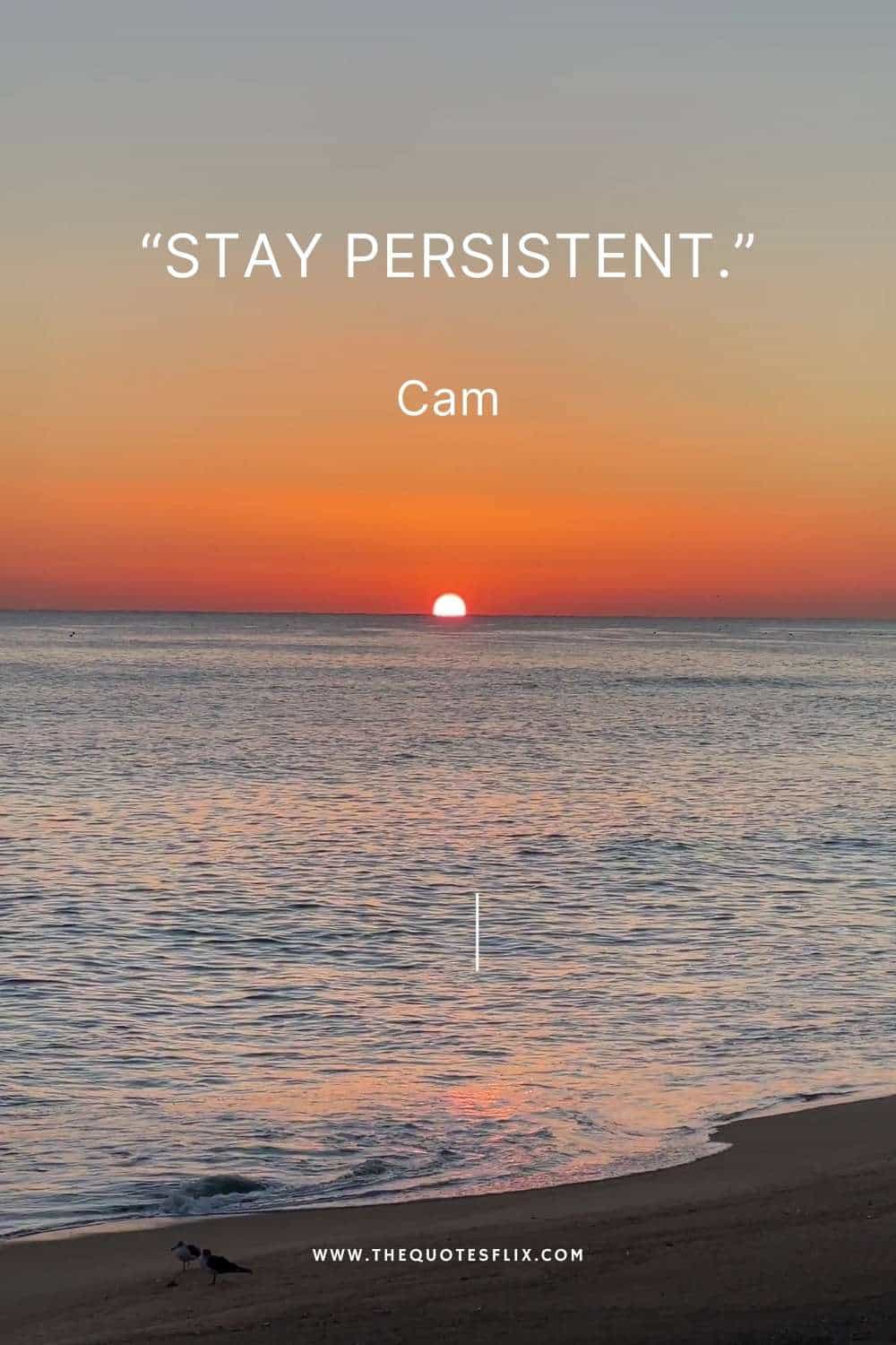 inspiratioinal cancer quotes - stay persistent