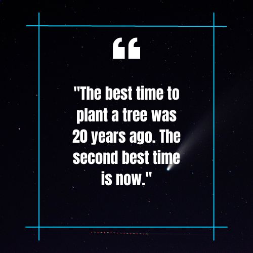 cancer survivor quotes – The best time to plant a tree was 20 years ago. The second best time is now.