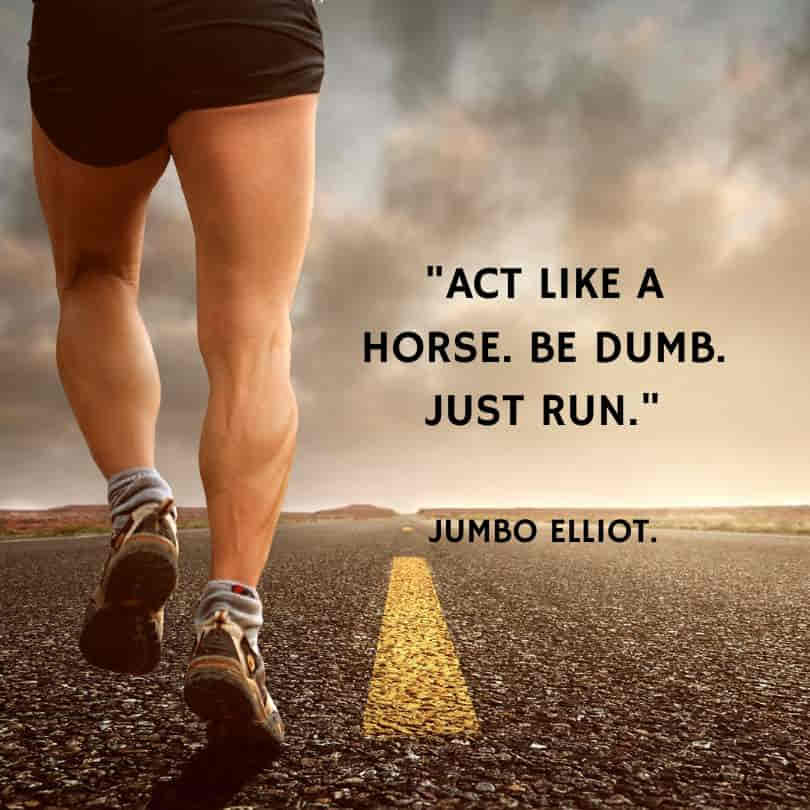 cross country running quotes - act horse dumb run