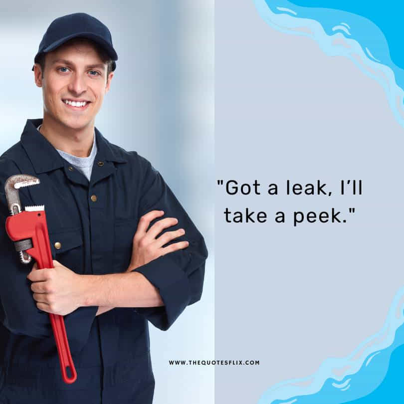 funny plumbing quotes - got leak take peek