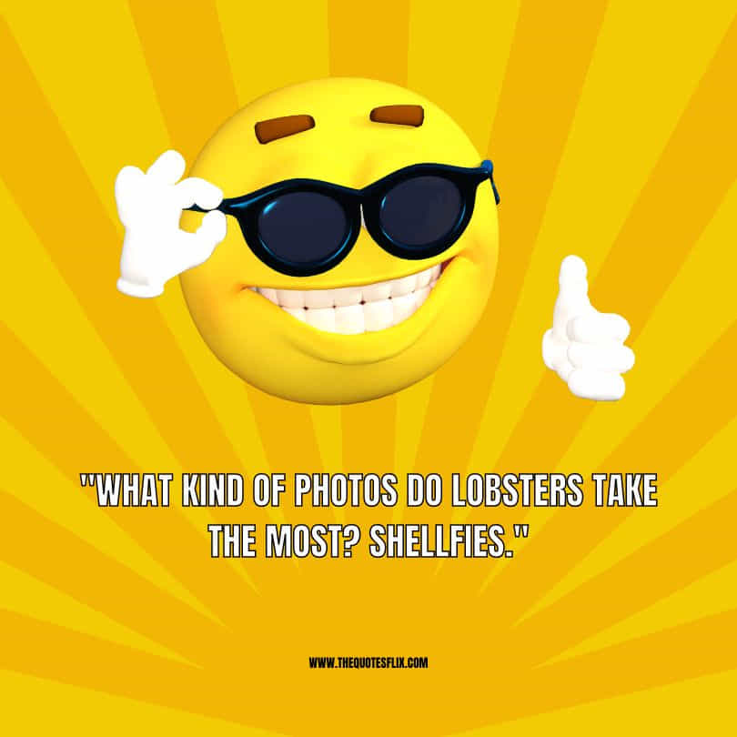funny photography quotes - kind of photos lobsters take shellfies