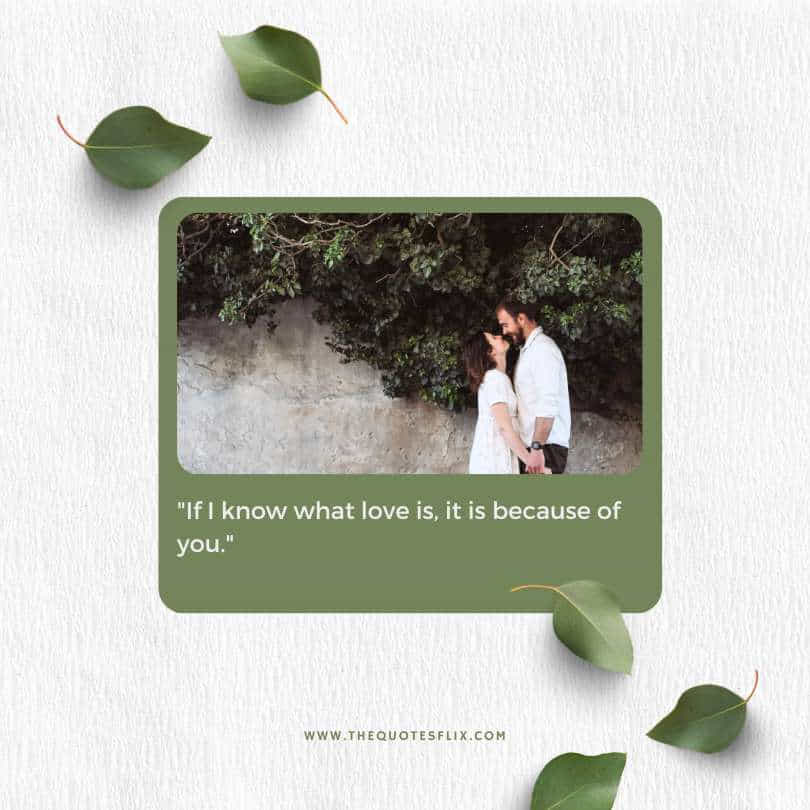 love quotes for her from the heart - i know what love is because of you