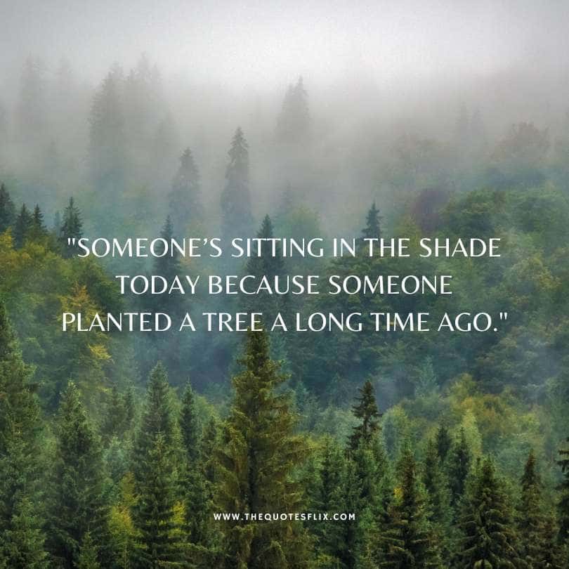 motivational quotes for life insurance -sitting in shade because someone planted tree long ago
