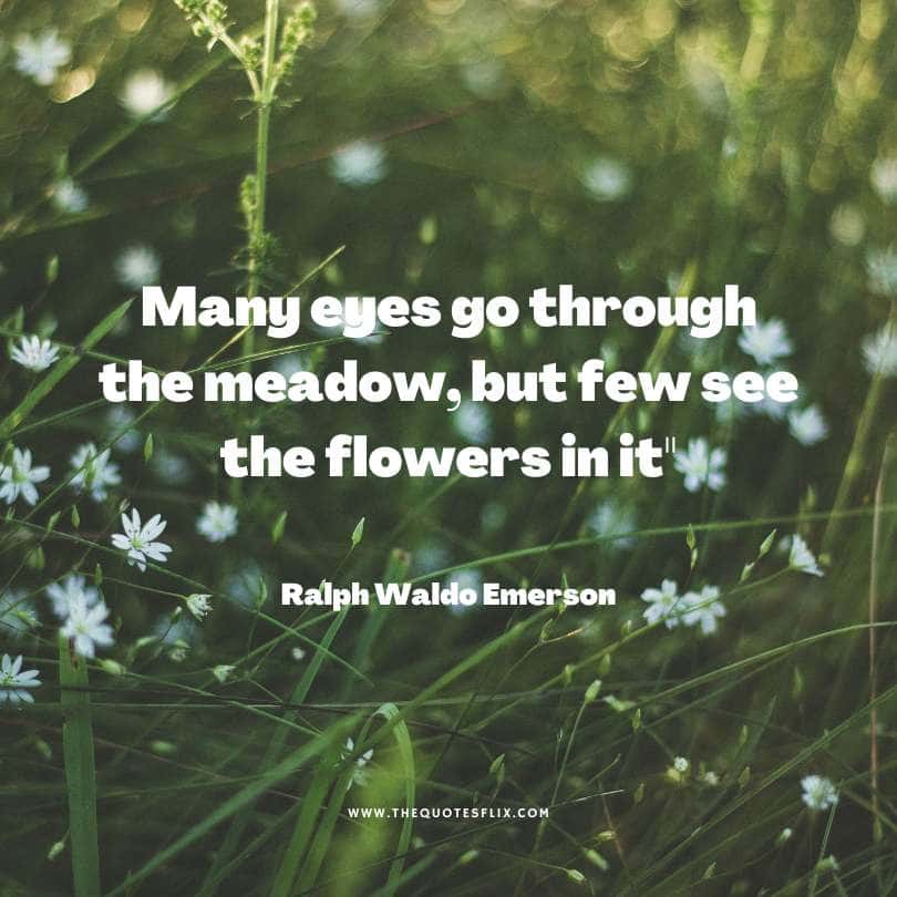 quotes by ralph waldo emerson - eyes go through meadow few see flowers in it