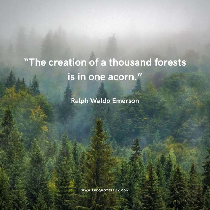 ralph waldo emerson quotes - creation of thousand forest in one acorn