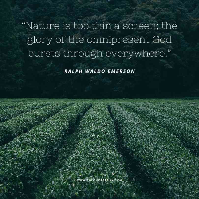 ralph waldo emerson quotes on nature - nature is too thin glory of god brust everywhere
