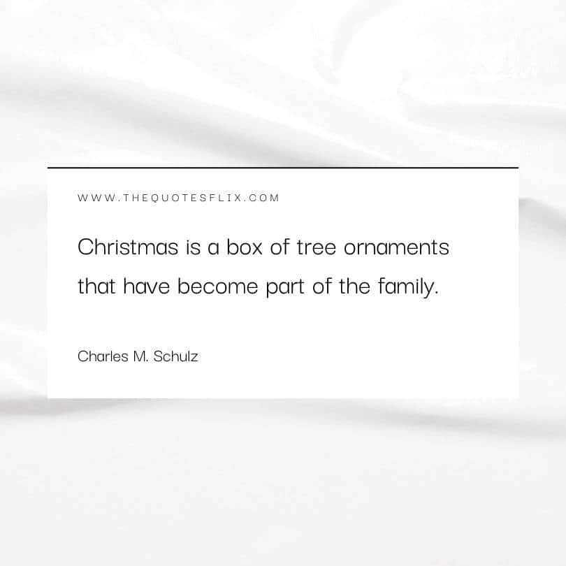 Christmas funny quotes - a tree of ornaments become part of family