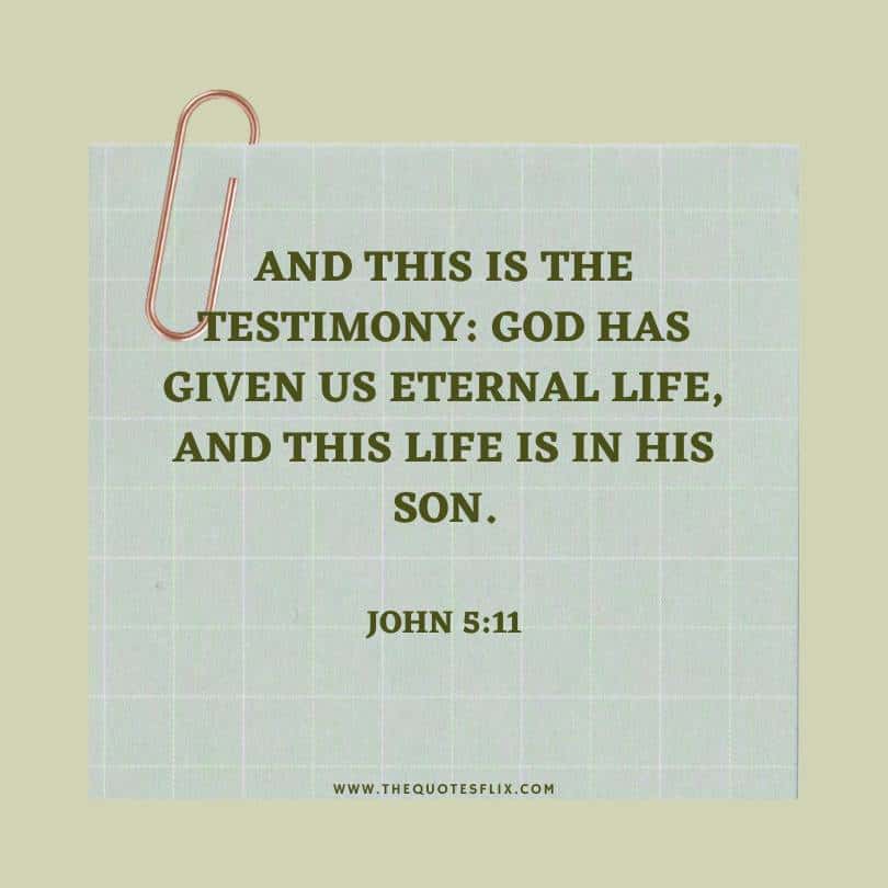 Christmas message from the bible - god has given eternal life in his son