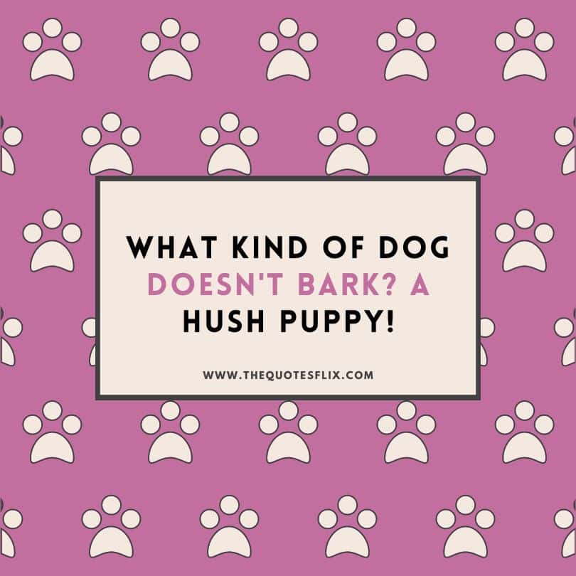 caption for dog post - hush puppy doesnt bark