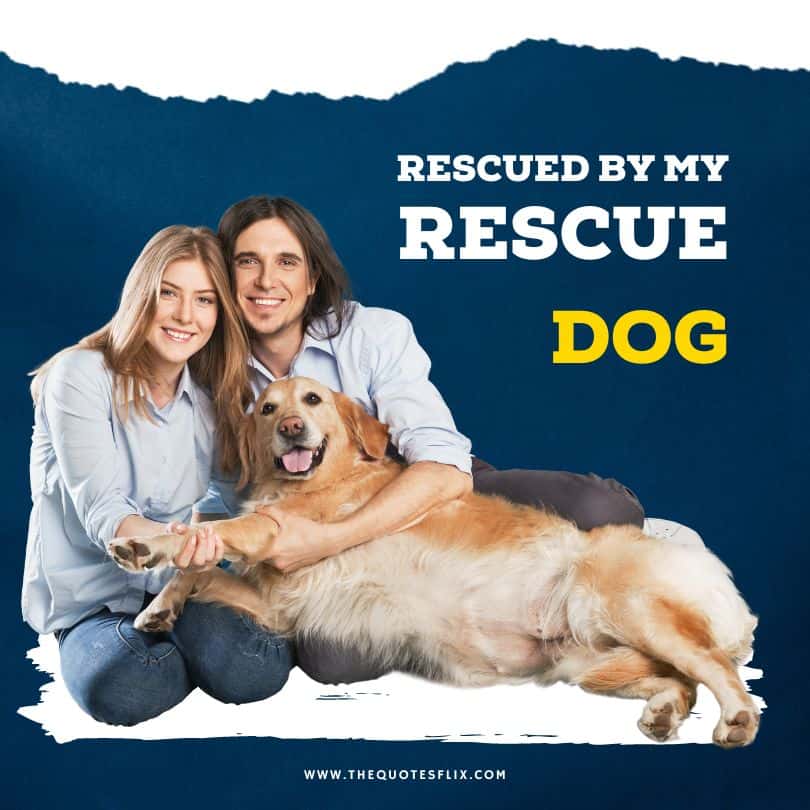 caption for dog post - rescued by my rescue dog