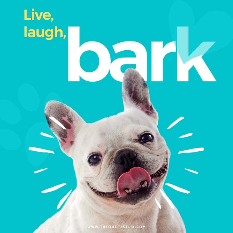 dog caption in English - live laugh bark