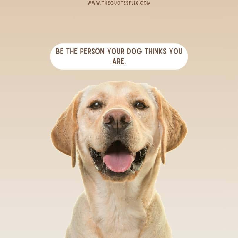 dog captions cute - be the person your dog thinks
