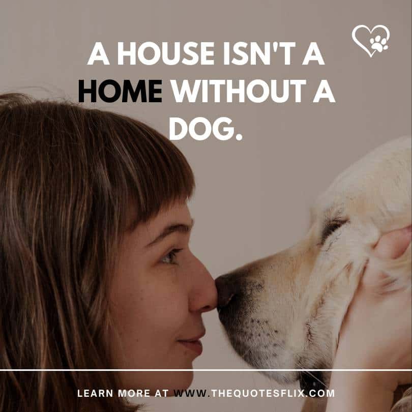 dog quotes short - House inst home without dog