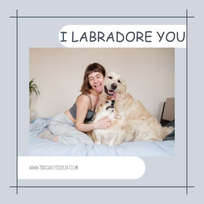 dog quotes short - i labradore you