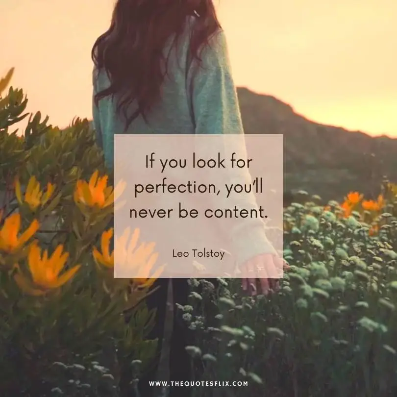 quotes-from-famous-books-about-love-look-for-perfection-never-be-content