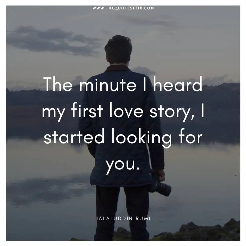 quotes-from-novel-my-first-love-story-looking-for-you