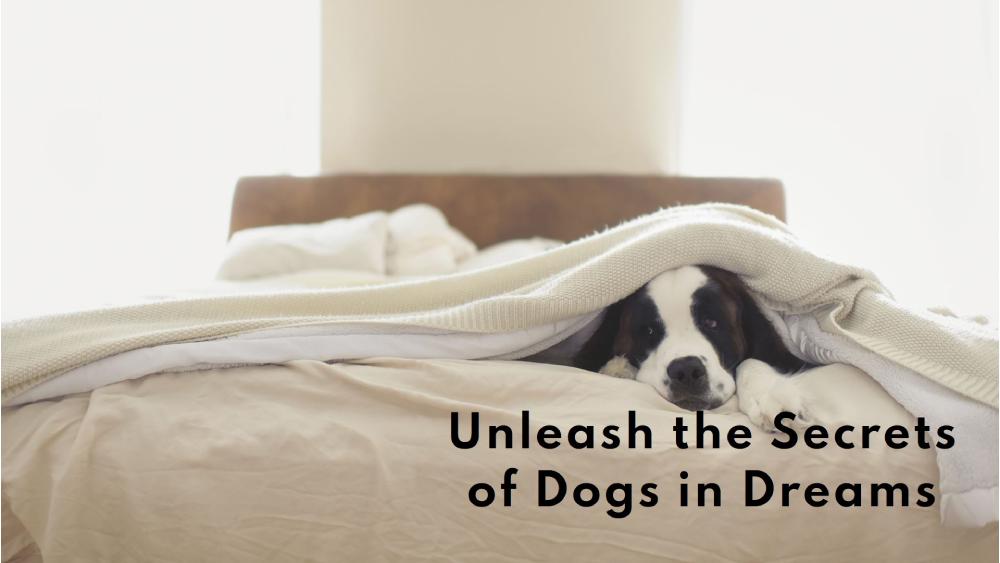 spritual meaning of dogs in dream